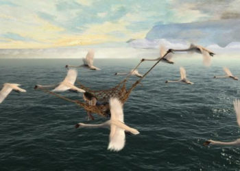 DZIKIE ŁABĘDZIE PROJEKCJA FILMU W KINIE KULTURA