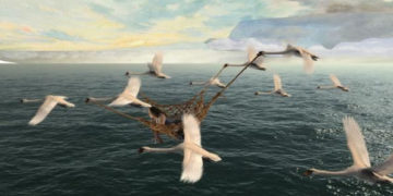 DZIKIE ŁABĘDZIE PROJEKCJA FILMU W KINIE KULTURA