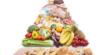 Warsztaty Dietetyczne w Tamice