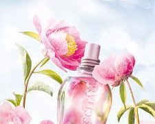 Peonie na DZIEŃ MATKI