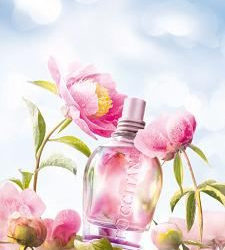 Peonie na DZIEŃ MATKI