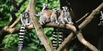 Warszawskie ZOO dla dzieci