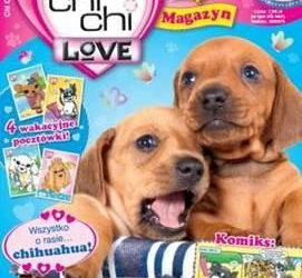 Chi Chi Love – magazyn dla miłośniczek piesków