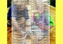 Lato w mieście 2012 – WOLA