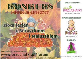 Konkurs fotograficzny – złota jesień z Brzuszkiem i Maluszkiem