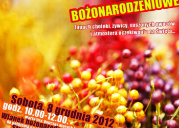 WARSZTATY: Florystyczne dekoracje bożonarodzeniowe – 8.12.2012