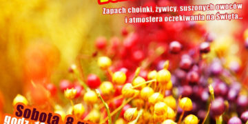 WARSZTATY: Florystyczne dekoracje bożonarodzeniowe – 8.12.2012