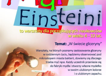 WARSZTATY: Mali Einsteini – 15.12.2012