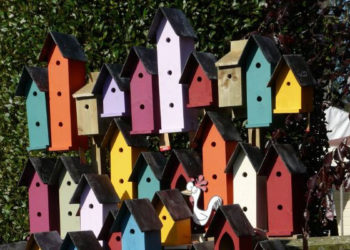 Dom kultury Praga Nowe zajęcia cykliczne od lutego