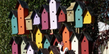 Dom kultury Praga Nowe zajęcia cykliczne od lutego