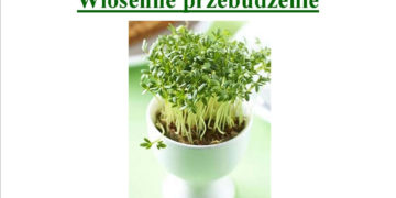 IMPREZA: Wiosenne przebudzenie 23.03.2013