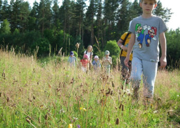 Małe Tuptanie i Przygód Szukanie dla dzieci 6-8 lat, 29.06-06.07.2013 – tygodniowy wyjazd na pierwszą małą wyprawę na Warmię
