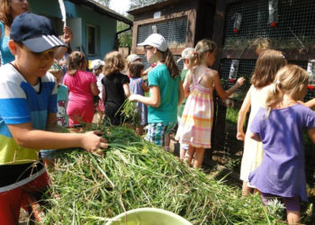 DZIEŃ OTWARTY:  Wycieczki dla szkół i przedszkoli 06.04.2013