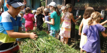 DZIEŃ OTWARTY:  Wycieczki dla szkół i przedszkoli 06.04.2013
