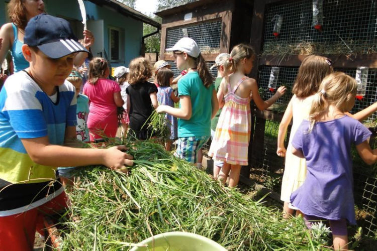 DZIEŃ OTWARTY:  Wycieczki dla szkół i przedszkoli 06.04.2013