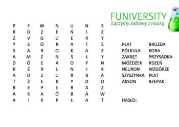 Konkurs z okazji zakończenia Tygodnia mózgu
