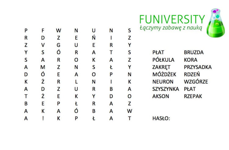 Konkurs z okazji zakończenia Tygodnia mózgu