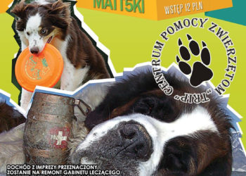 IMPREZA: WIELKI PIKNIK „HOUSE FOR ANIMALS” 22.06.2013