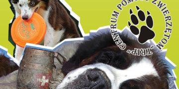 IMPREZA: WIELKI PIKNIK „HOUSE FOR ANIMALS” 22.06.2013