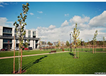 IMPREZA: Dzień ze zdrową żywnością, czyli Le Targ w Miasteczku Wilanów – 29.06.2013