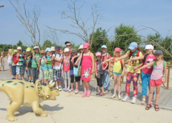 Obozy okiem kadry – KOGIS radzi  cz.1