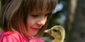 Lato w zwierzątkowie