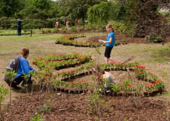 WARSZTATY: PRZEZ ŻOŁĄDEK DO SERCA WARSZTATY W PARKU RZEŹBY NA BRÓDNIE 14.07.2013
