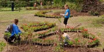 WARSZTATY: PRZEZ ŻOŁĄDEK DO SERCA WARSZTATY W PARKU RZEŹBY NA BRÓDNIE 14.07.2013
