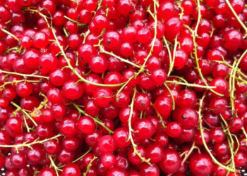 SPEŁNIONA MAMA: Letnie sposoby na owoce