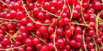 SPEŁNIONA MAMA: Letnie sposoby na owoce