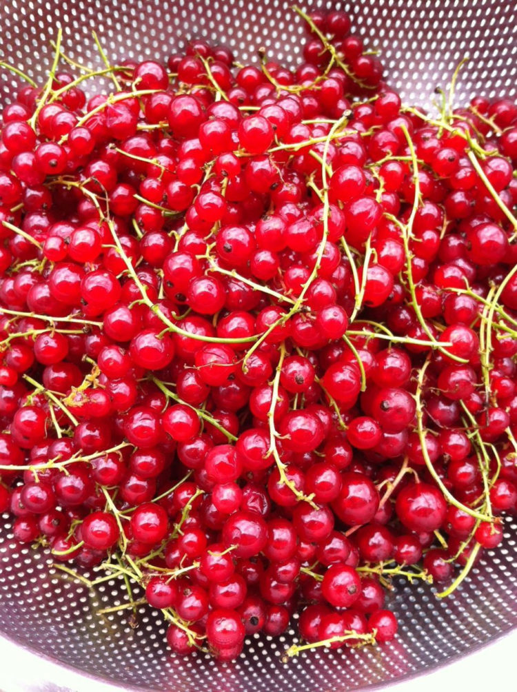 SPEŁNIONA MAMA: Letnie sposoby na owoce