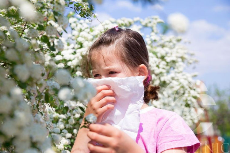 Komunikat dla Alergików!!!