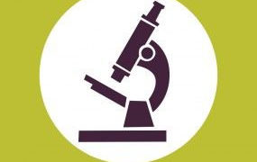 ZAJĘCIA: KLUB KRÓLEWSKICH PRZYRODNIKÓW – ZAJĘCIA EDUKACYJNE DLA DZIECI W ŁAZIENKACH KRÓLEWSKICH – 13,20,27.10.2013