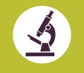 ZAJĘCIA: KLUB KRÓLEWSKICH PRZYRODNIKÓW – ZAJĘCIA EDUKACYJNE DLA DZIECI W ŁAZIENKACH KRÓLEWSKICH – 13,20,27.10.2013