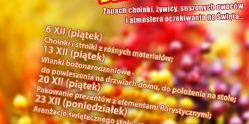 Florystyczne Dekoracje Bożonarodzeniowe w ramach cyklu SZTUKAterra