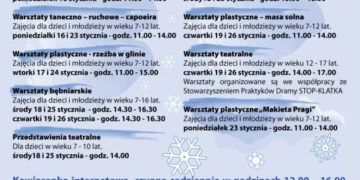 Zima w Klinice Małych Zwierząt w Leśnej Górce