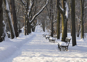 Zima w Mieście w dzielnicy Wawer