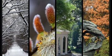 II konkurs fotograficzny ,, Łazienki Królewskie – cztery pory roku”
