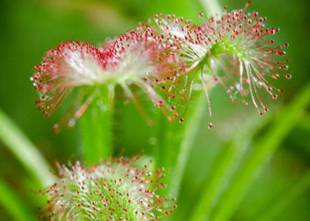 Wiosenne minilaby w Koperniku