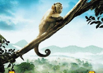 GRATKA DLA NAJMŁODSZYCH NA KONIEC KWIETNIA W SIECI KIN MULTIKINO