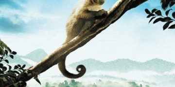 GRATKA DLA NAJMŁODSZYCH NA KONIEC KWIETNIA W SIECI KIN MULTIKINO