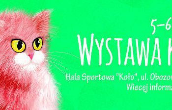 Wystawa Kotów Rasowych w hali Koło