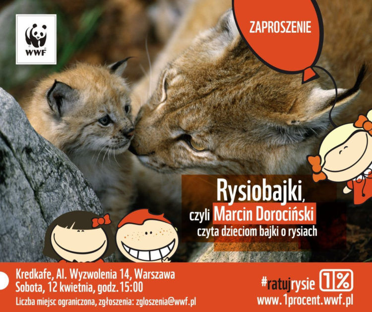 Rysiobajki, czyli Marcin Dorociński czyta dzieciom bajki o rysiach