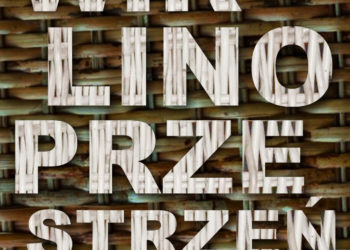 DOROŻKARNIA – WARSZTATY WIKLINIARSKIE