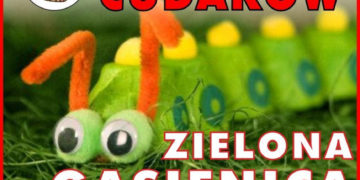 FABRYKA CUDAKÓW – ZIELONA GĄSIENIC