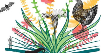 IMIENINY JANA KOCHANOWSKIEGO