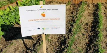 Carrefour Polska zainspirował ponad 10 000 małopolskich uczniów, by zdrowo się odżywiali