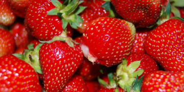 Truskawki – źródło zdrowia na wyciągnięcie ręki