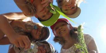 Kolonie KOGIS dla Smyków nad morzem – ostatnie wolne miejsca na sierpień!