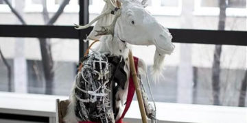 Cykl „Elementarz sztuki współczesnej”